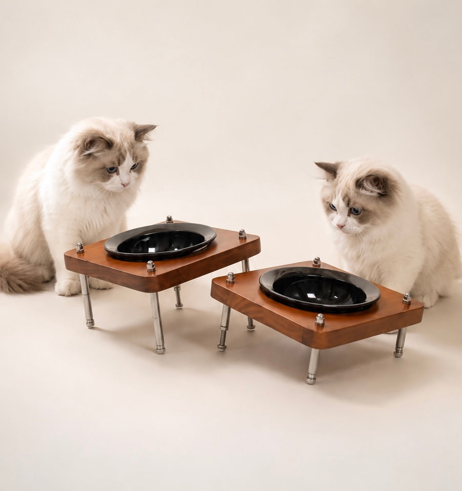 Adjustable Elevated Cat Bowl with Ceramic Dish – Wooden Raised Pet Feeder for Cats & Small Dogs | Adjustable Height & Angle