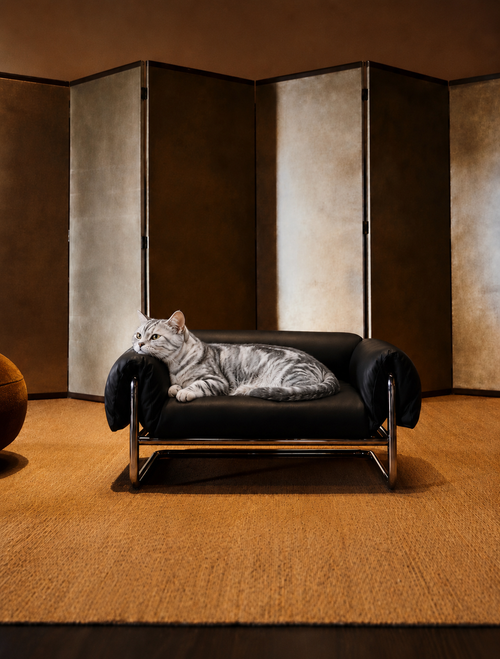Canana&Co. Tobura Modern Pet Sofa Bed – Soft Upholstered Designer Cat & Dog Lounge